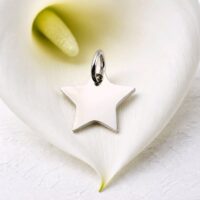 pendentifs Étoile À cinq branches arg